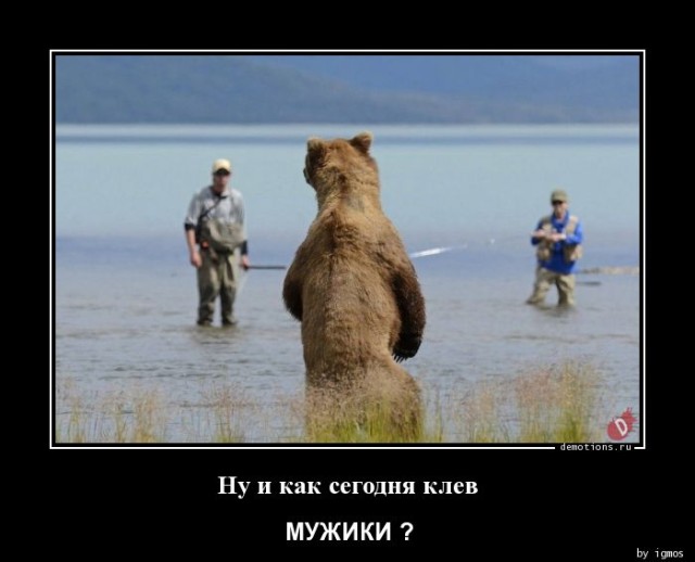 Демотиваторы – приколы: «Стакан воды — это для слабаков!» 