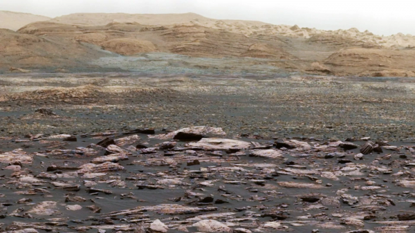 Колонизация Марса: ученые вывели штамм бактерий, который поможет создать воздух на 
