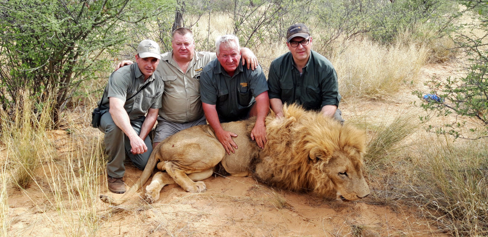 Операция «Симба»: миллиардер лорд Эшкрофт раскрыл схему варварской охоты на львов в ЮАР страны,экология