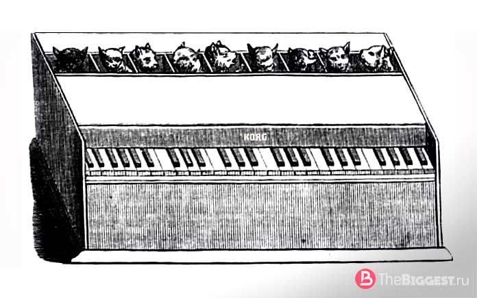 Пианино из кошек