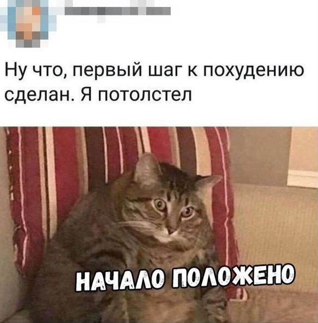 Подборка самых весёлых картинок 