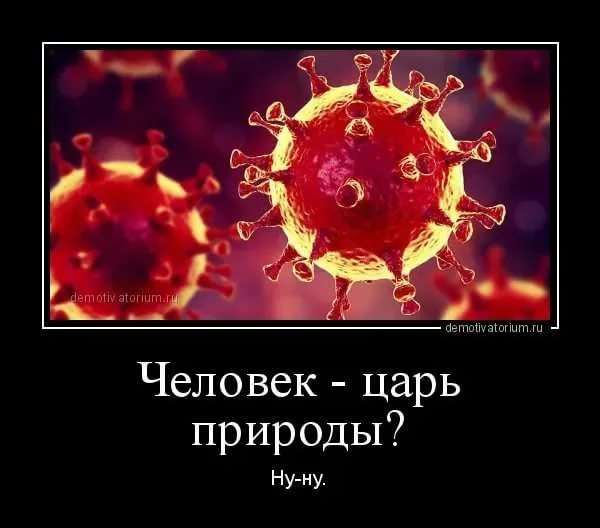 Демотиваторы про коронавирус с надписями. Подборка chert-poberi-dem-koronavirus-chert-poberi-dem-koronavirus-36000703092020-4 картинка chert-poberi-dem-koronavirus-36000703092020-4