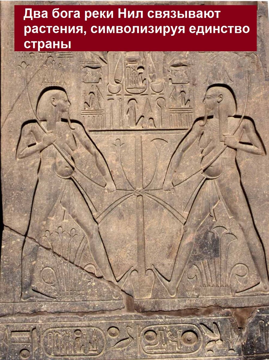 ����, �� �������������� �������� ���������� �, ������ ���������� �������, ������� ���� ������ � ����� ������ ���������� ����������.-4