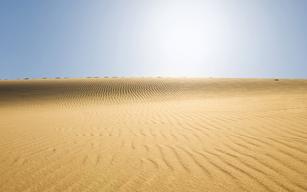 Как глубоки пески Сахары здесь, времена, Сахары, Сахара, пустыню, песка, часть, занимают, сейчас, градуса, несколько, Африки, просто, территорию, условия, климат, самая, богатый, больше, регион