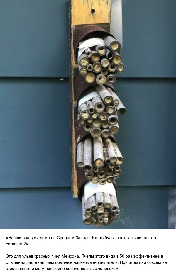 Интересные вещи, предназначение которых вы могли не знать Интересные вещи, предназначение которых вы могли не знать