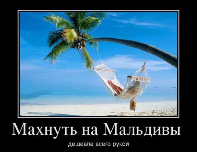 Традиционная коллекция прикольных демотиваторов для поддержания отличного настроения! Традиционная коллекция прикольных демотиваторов для поддержания отличного настроения!