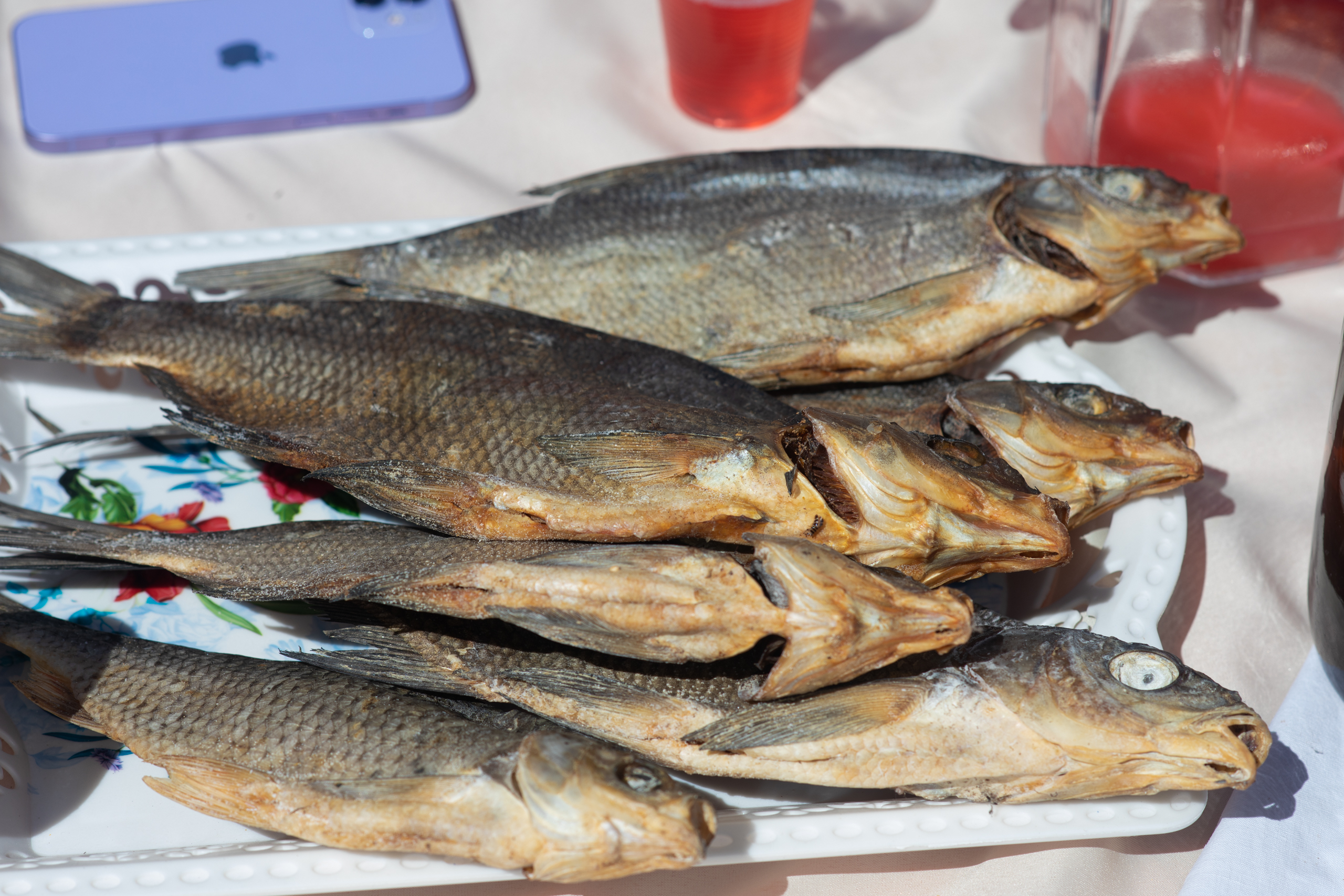 Семь рыб — одно блюдо: Чем удивил фестиваль «Селигерский рыбник»