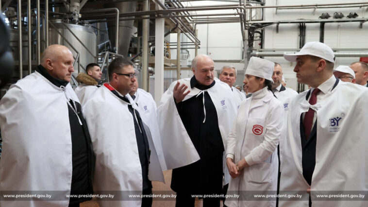 Лукашенко раскритиковал работу агропредприятий Витебской области