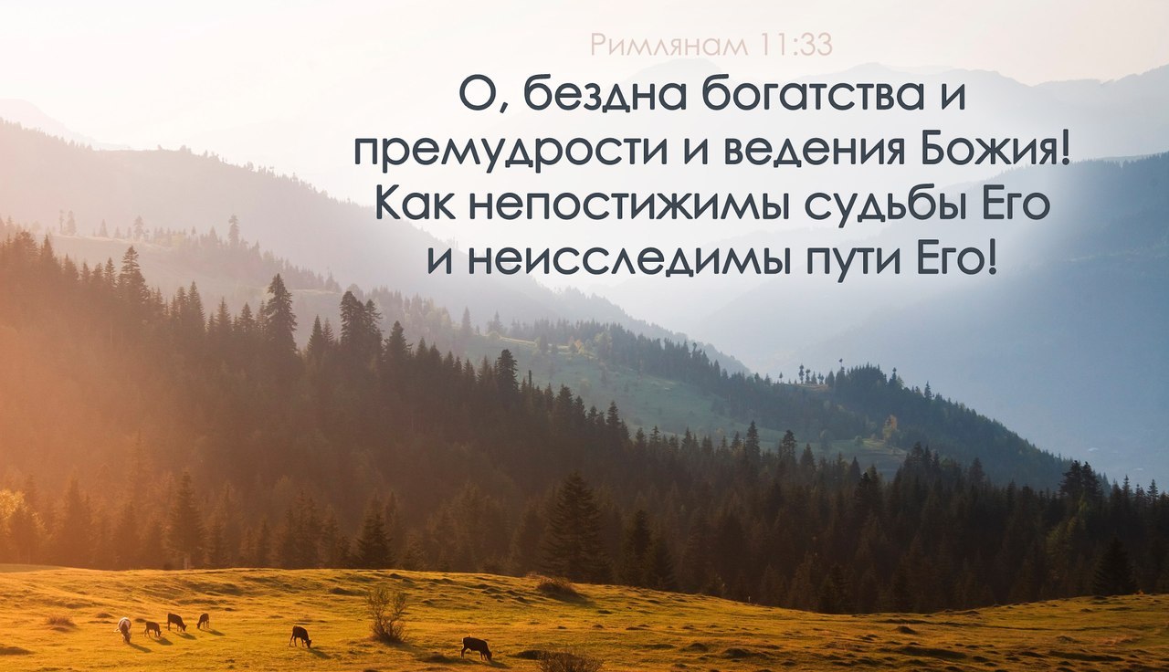 Веденье 2017. О бездна богатства и премудрости. Бездна богатства и премудрости и ведения. Непостижимы судьбы его и неисследимы пути. Божья мудрость.