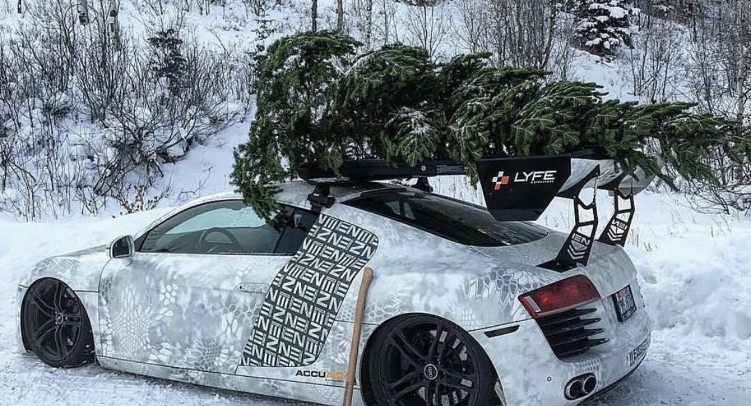 Как перевезти елку так, чтобы не повредить ни автомобиль, ни дерево