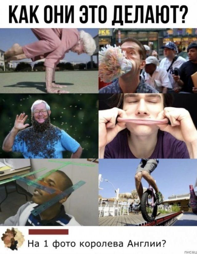 25 приколов сентября из социальных сетей 25 приколов сентября из социальных сетей позитив,смешные картинки,юмор