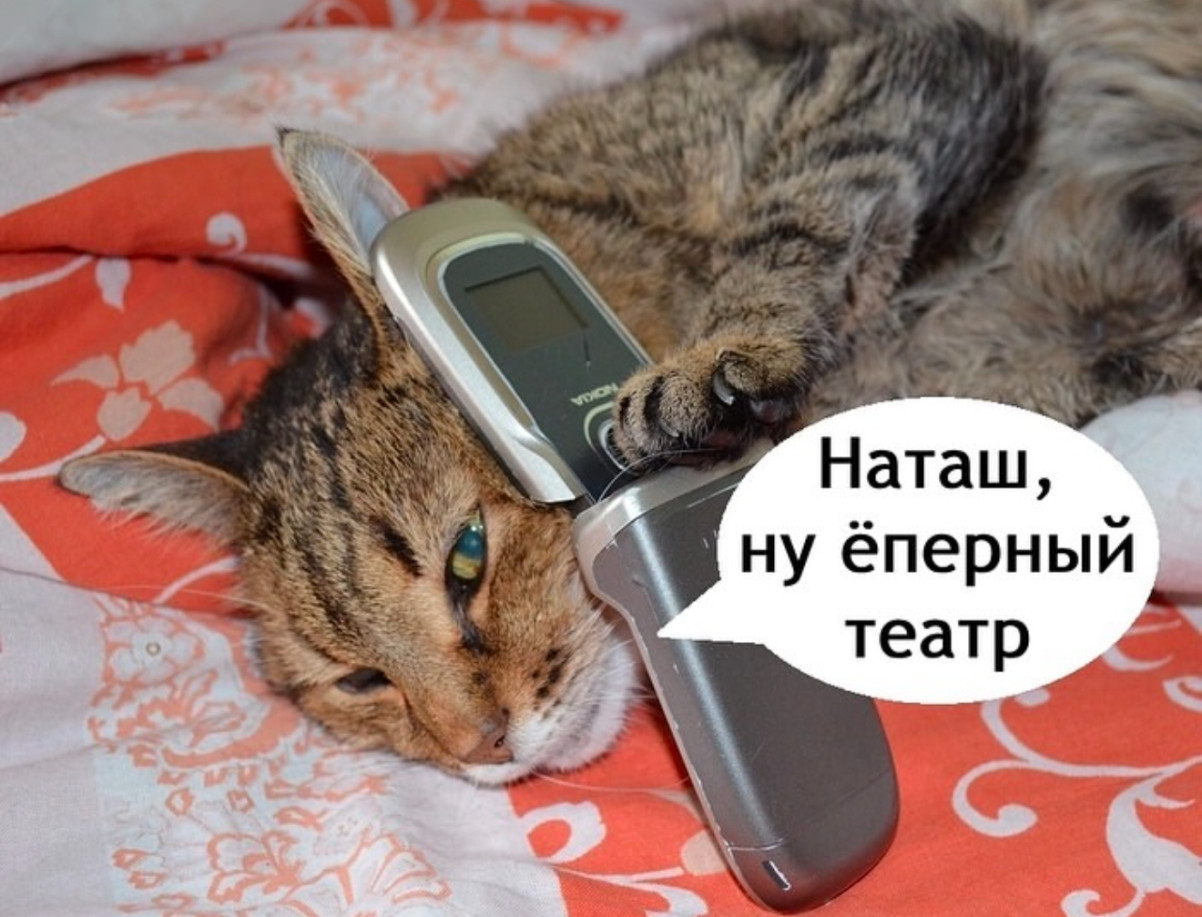 Состою в кружке по интересам, в третьем по версии Данте... Состою в кружке по интересам, в третьем по версии Данте...