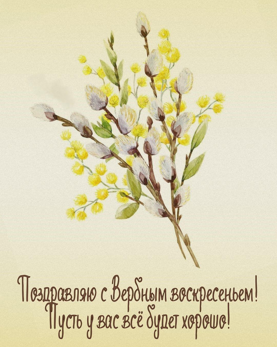 Красивые открытки с Вербным воскресеньем для родителей, бабушек и дедушек, свекрови, подруг — в общем, всех Вербным, Вербное, открытки, воскресенье, Христа, вербы, праздников, открыток, православные, близкими —, Однако, можно, небольшое, разрешает, употреблять, церковь, горячую, православная, застолье, шумных