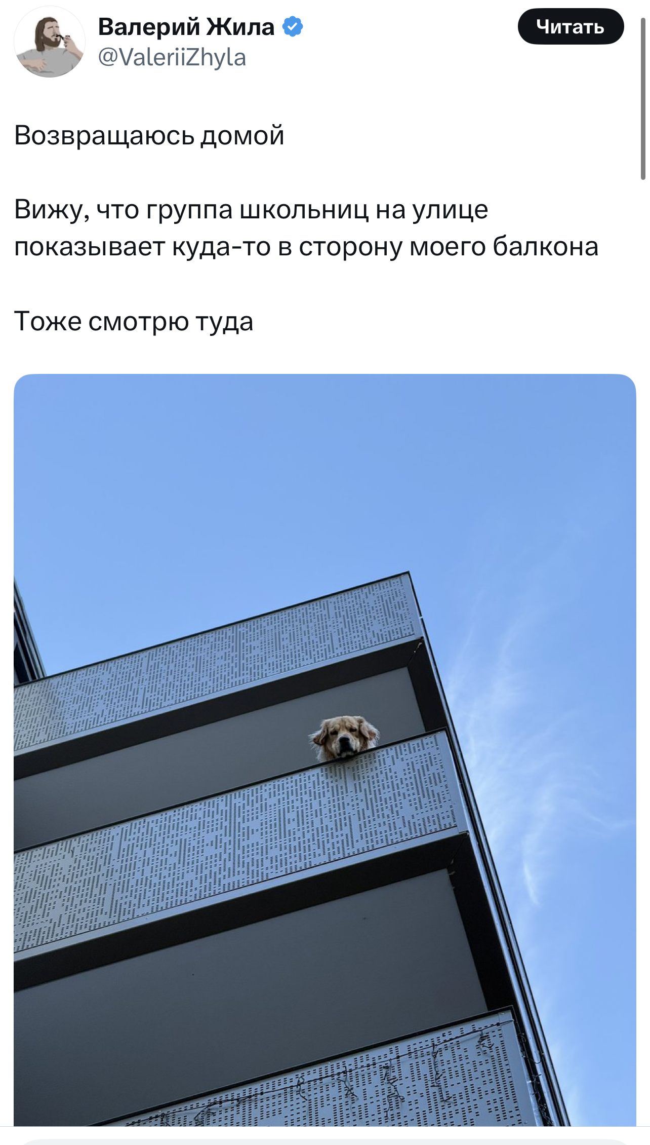 Самые смешные шутки четверга и «абсолютно любой сербский фильм» format-article,noindex,twitter (твиттер),социальная сеть,Развлечения