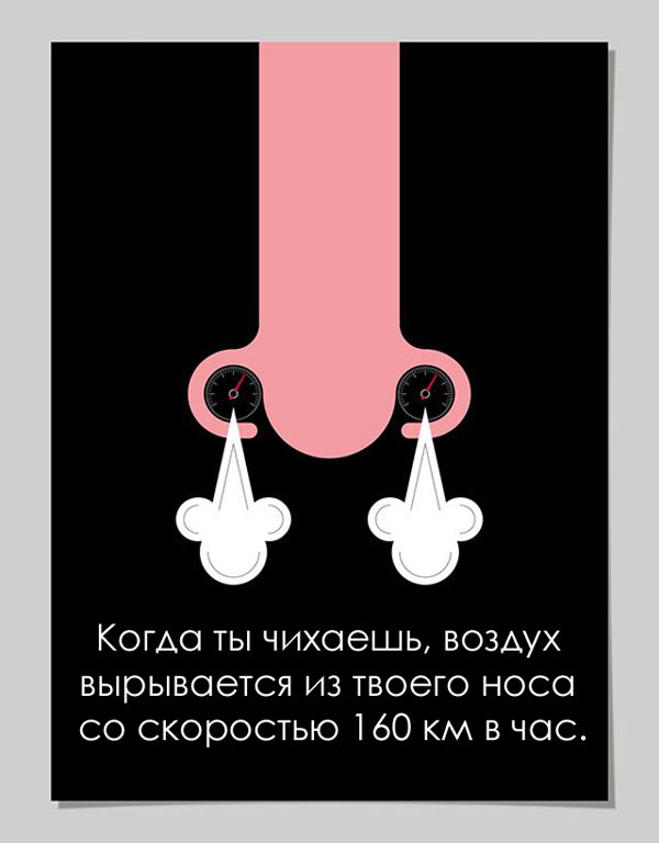 факты о человеческом теле