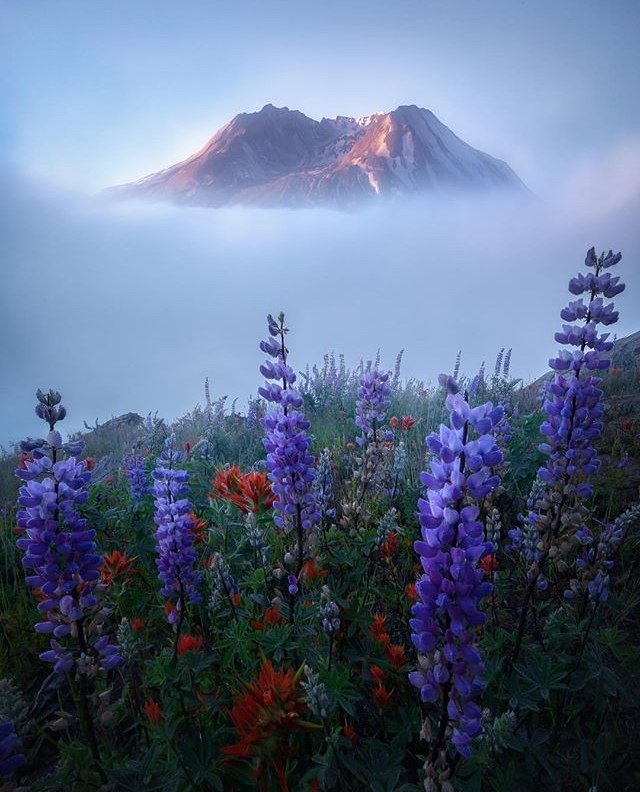 Классные и прикольные фото из сети красивые фотографии,прикольные картинки,шикарные фотографии