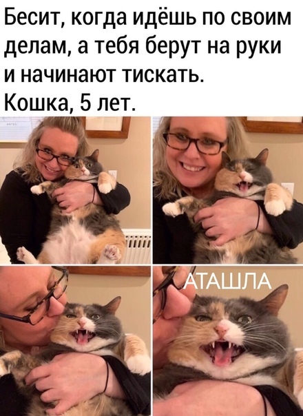 Юмор для тех, кто уже повзрослел и понял, что «меньше драм» - это просто отключить уведомления 