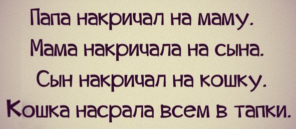 Оптимист - человек, намеревающийся вступить в брак. Пессимист - женатый оптимист Мусорный, великих, титул, рыцаря, мощных, люлей, Чебоксарах12, Ктото, автостопщиков, тогда, говорил, ладится, контакт, водителем, кабину, наполняет, получил, 2003й, тишина, залаяла