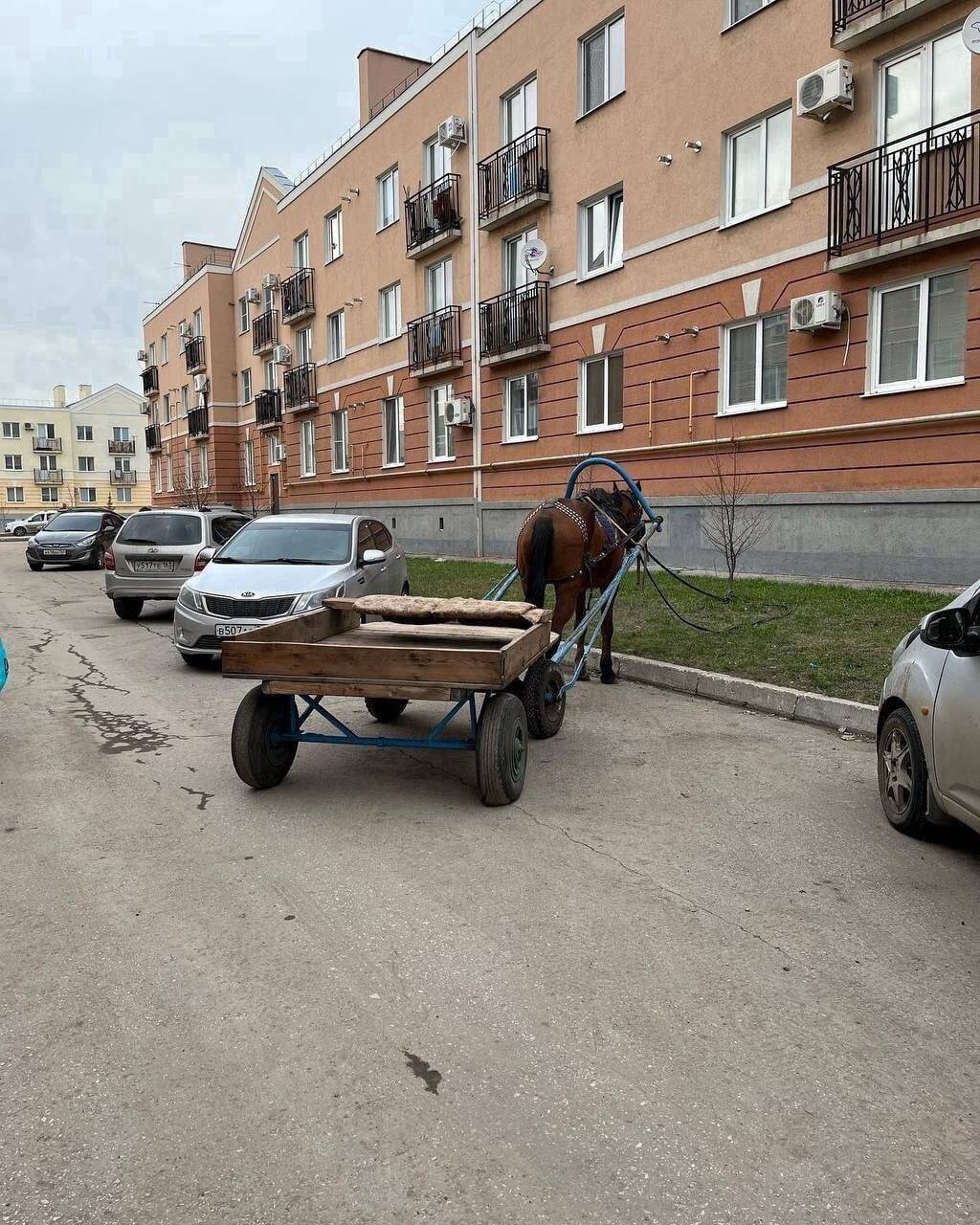 Подборка прикольных картинок