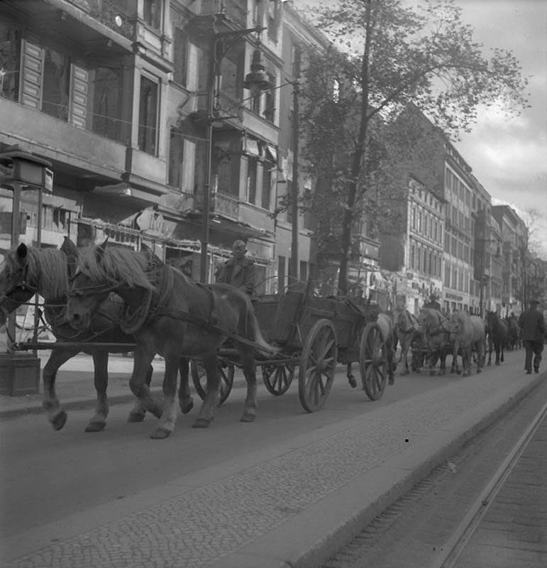 Повседневная жизнь Берлина в июле 1945 года Повседневная жизнь Берлина в июле 1945 года история