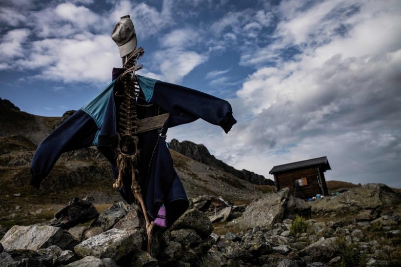 Альпы, овцы, свобода! Жизнь французского пастуха Альпы, овцы, свобода! Жизнь французского пастуха