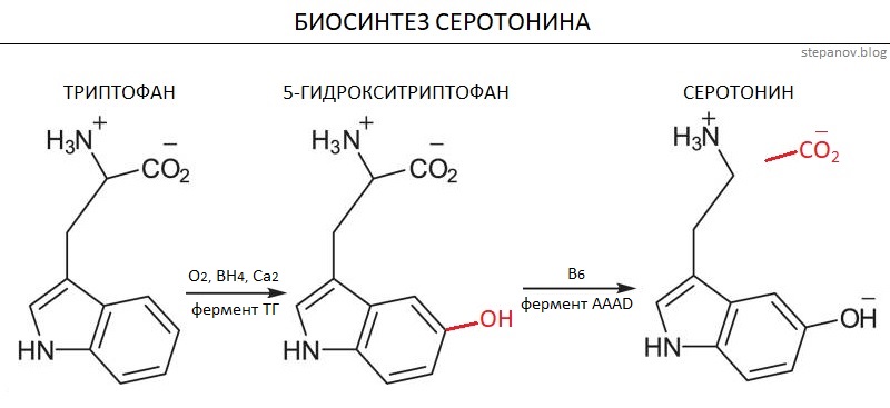 Эволюционная причина ПМС - Пора Менять Самца серотонина, предменструальной, женщин, женщины, более, дисфории, симптомы, также, может, период, отношений, Однако, триптофана, которые, дисфория, цикла, зависит, условиях, лютеиновой, серотонин