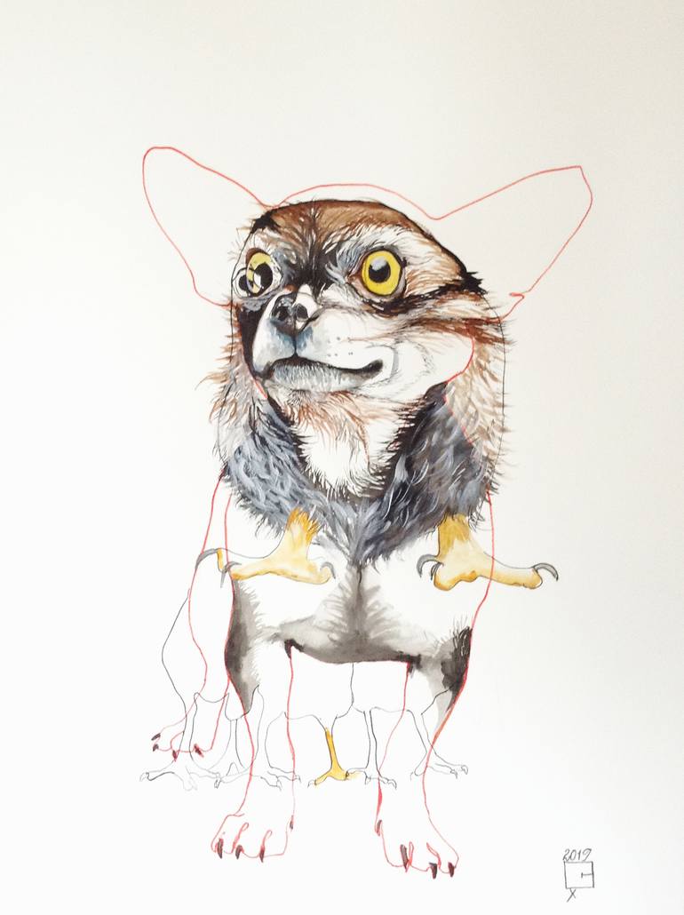 Иллюстрации Ольги Галь 