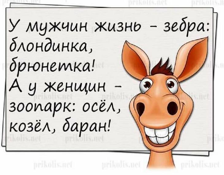 Посмеёмся? Шутки и анекдоты