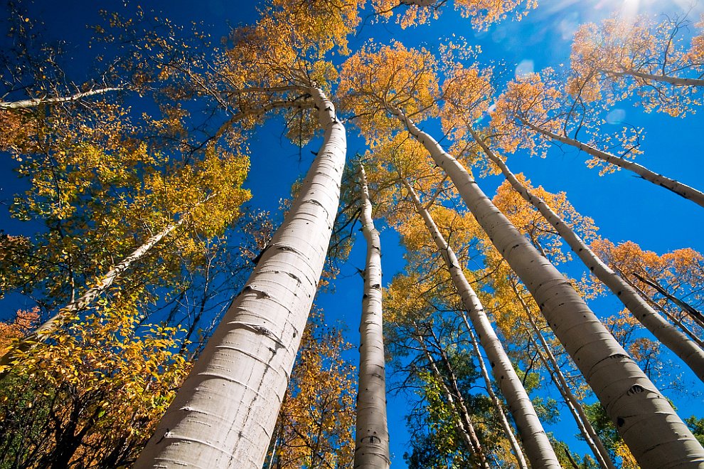 HDRI В мире необычное