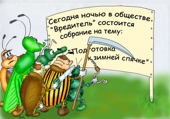Собрание насекомых. Александр Пушкин