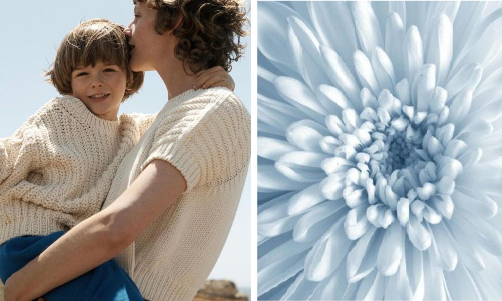 Поллиноз у детей: когда начинается аллергия на цветение и как облегчить ее симптомы когда, аллергии, лечения, пыления, пыльцу, России, Г Н Сперанского, проведения, только, проявления, аллергией, время, каждый, цветения, зацветает, диагностики, Консультативнодиагностического, высшей, категории, центра