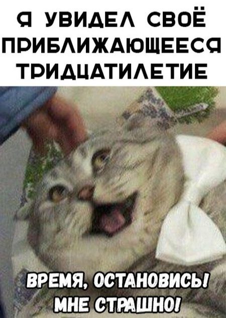 Подборка самых весёлых картинок 