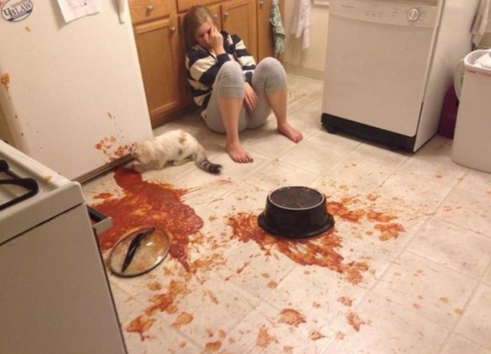 Надоели обои? Хотите новый диван? Надоели обои? Хотите новый диван? веселые картинки,животные,позитив,Смешные животные