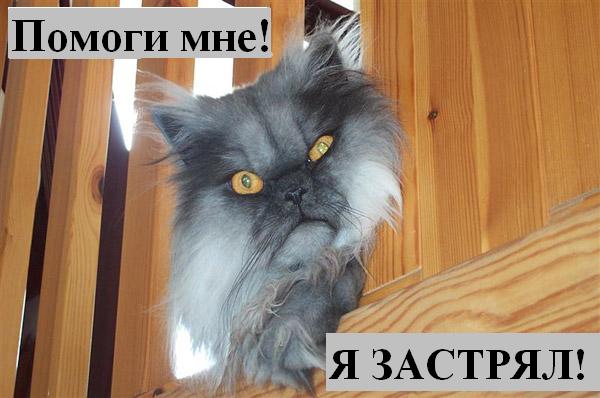 Мысли :) (50мыслей)
