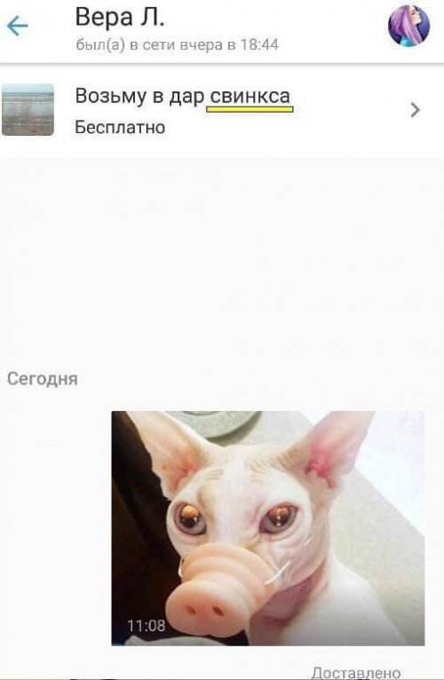 Фото-приколы дня Фото-приколы дня