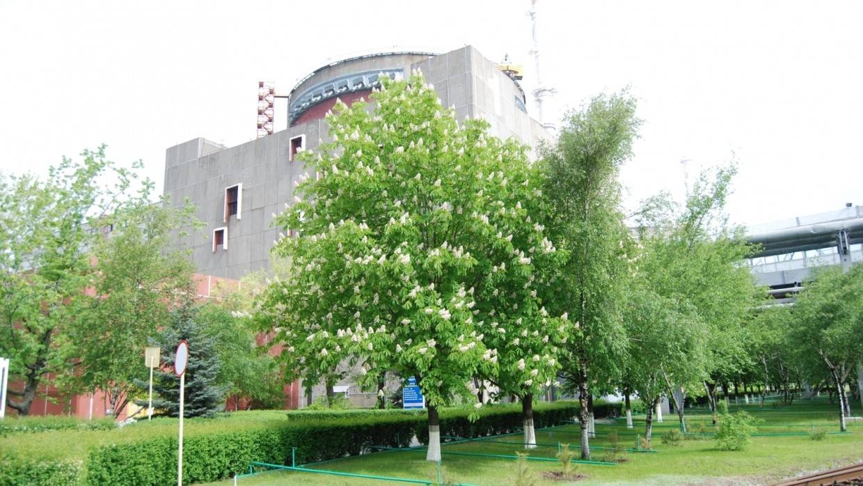 Пожар разгорелся в административном здании Запорожской АЭС