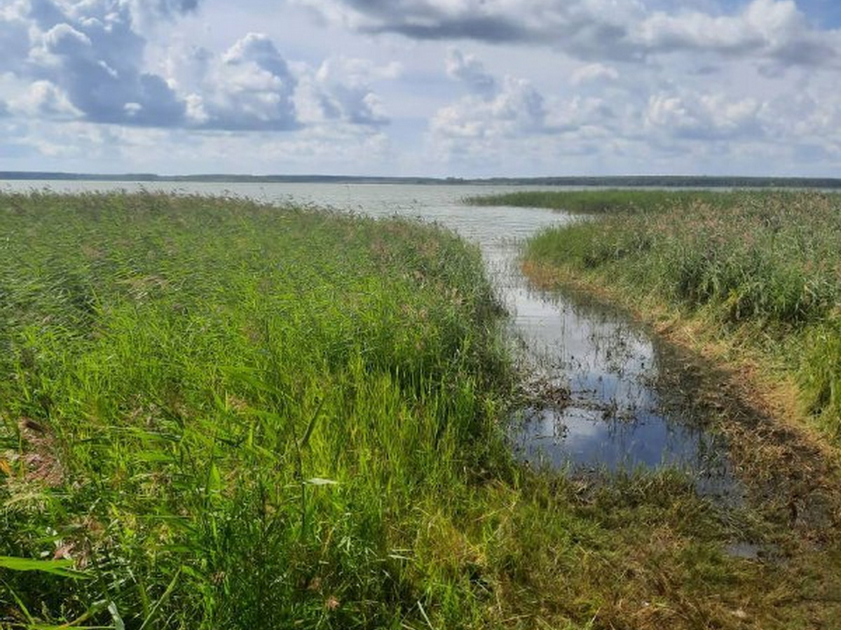 В Зауралье на озере Большое Кабанье во время ночной рыбалки погиб мужчина