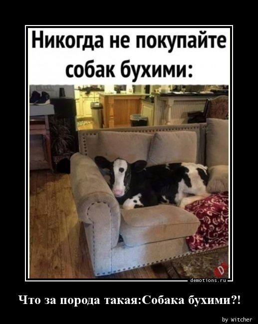 Демотивирующие картинки: «Развод и раздел имущества» 