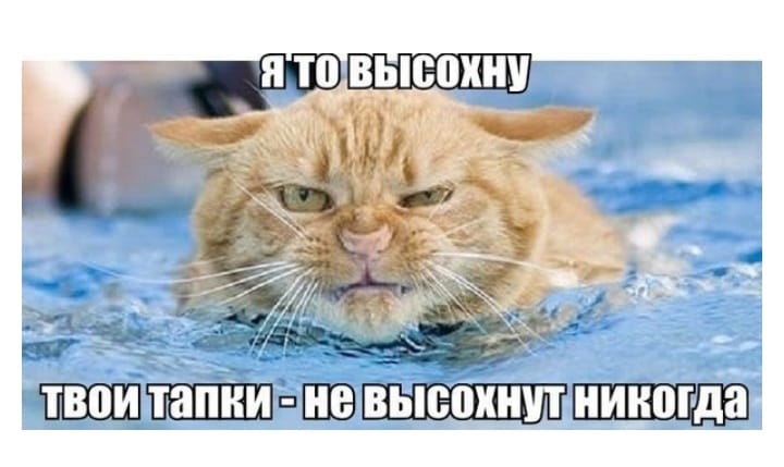 30 анекдотов и шуток в картинках, чтоб посмеяться от души 30 анекдотов и шуток в картинках, чтоб посмеяться от души