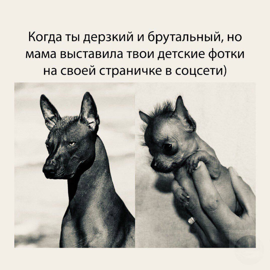 Юмор за день и неприятный человек 