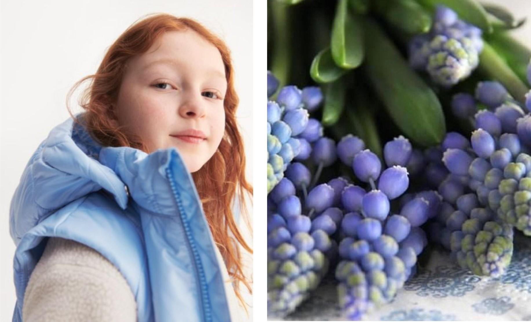 Поллиноз у детей: когда начинается аллергия на цветение и как облегчить ее симптомы когда, аллергии, лечения, пыления, пыльцу, России, Г Н Сперанского, проведения, только, проявления, аллергией, время, каждый, цветения, зацветает, диагностики, Консультативнодиагностического, высшей, категории, центра