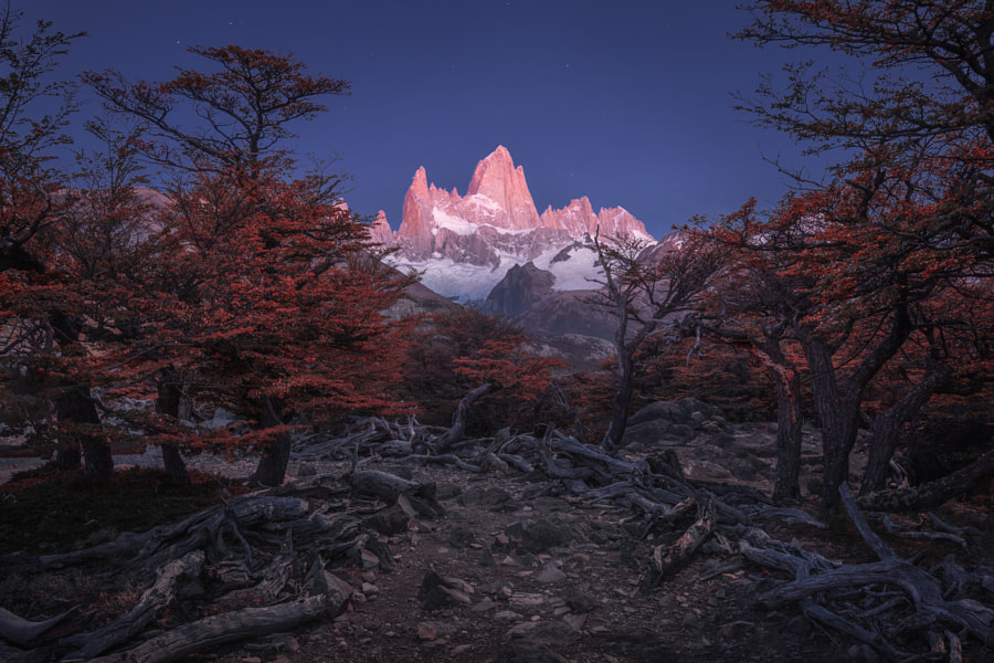 Landscape by Kelvin Yuen on 500px.com