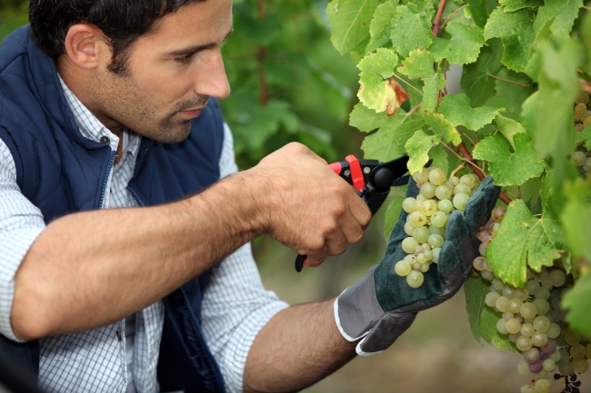 Советы тревел-блогеров: 11 крутых способов путешествовать много и дешево Советы тревел-блогеров: 11 крутых способов путешествовать много и дешево заграница,путешествие,туризм