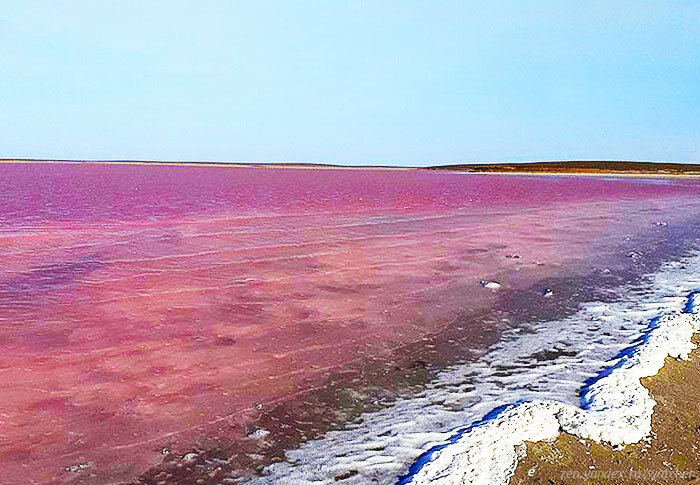 Озеро Колтан-Нур - одно из немногих русских озер, окрашенных в розовый цвет.