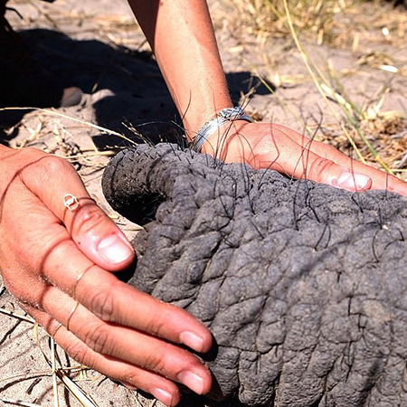 Принц Гарри и Меган Маркл поделились новыми фото из поездки в Африку Принц Гарри и Меган Маркл поделились новыми фото из поездки в Африку Монархии