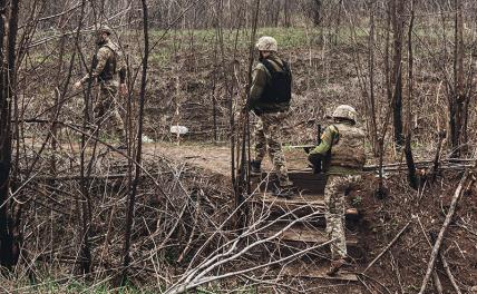 Ловля на плацдарм: бандеровцев заманили в пристрелянную низину и отрезали от тыла респ,Крым [1434425],украина