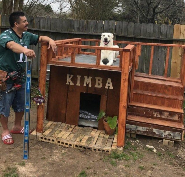 Эти мужчины были против собак в доме Эти мужчины были против собак в доме животные,жизнь,позитив,собаки