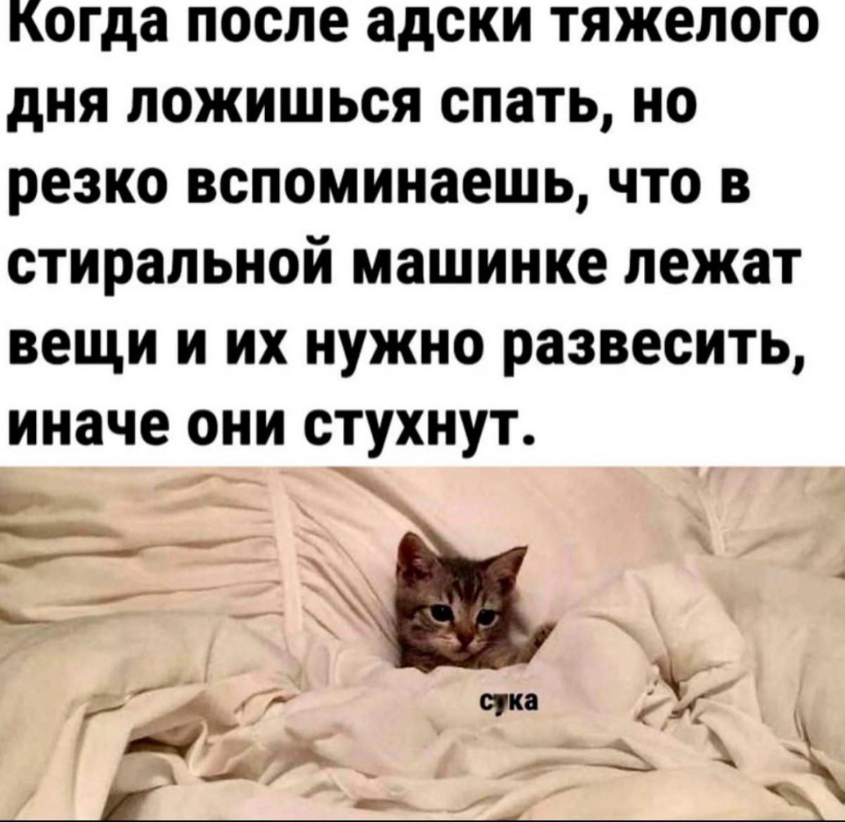 Смеяться разрешено: порция здорового сарказма в мемах и смешных картинках Смеяться разрешено: порция здорового сарказма в мемах и смешных картинках