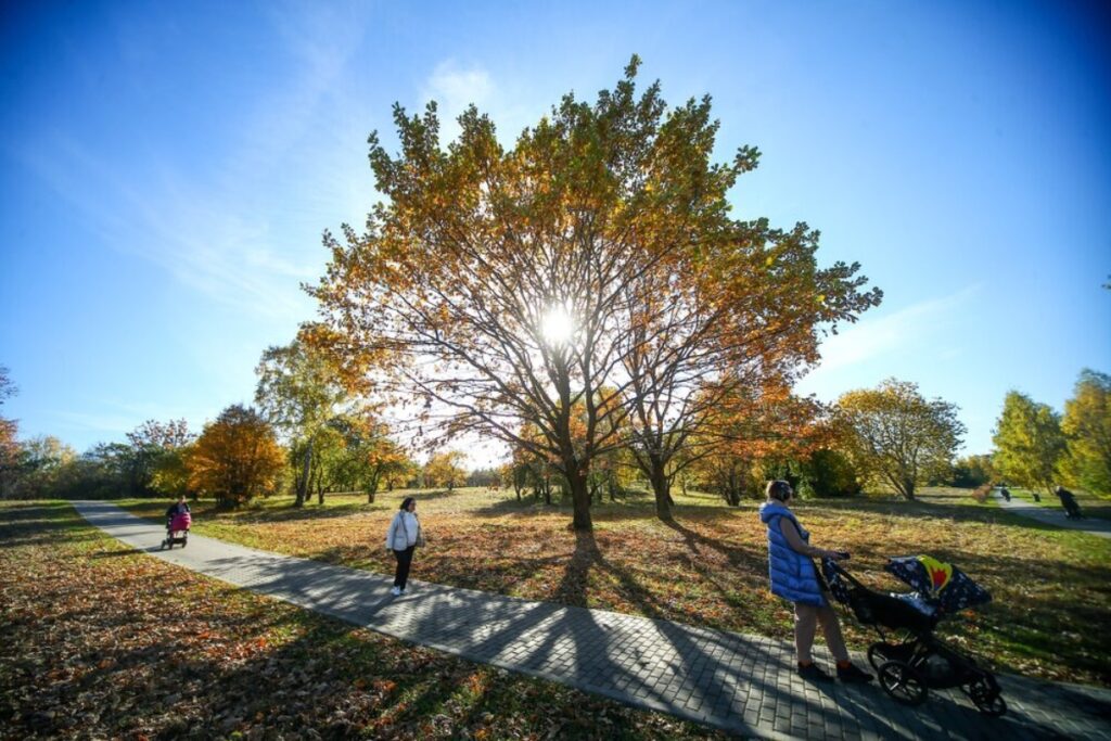 Синоптики пообещали России еще две недели лета