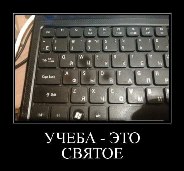 Прикольные демотиваторы: «Теперь понятно…» 